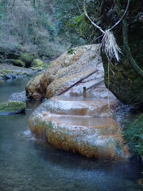 2022 1 鹿児島 某野湯 (1).png