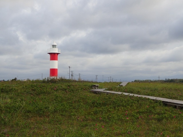2022 6 北海道 石狩 はまなすの丘公園.JPG
