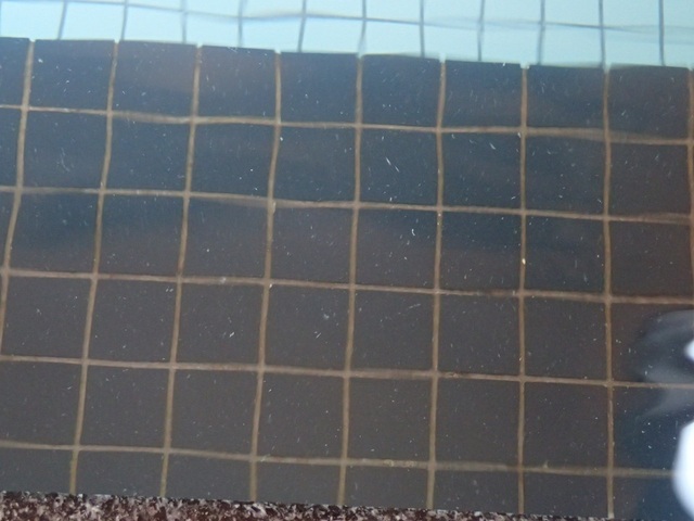 2022 7 山形 小野川温泉 滝の湯 5.JPG
